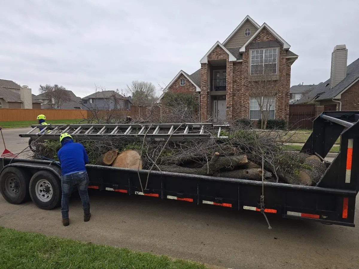 Expert Lot Clearing with proper safety equipment in Austin